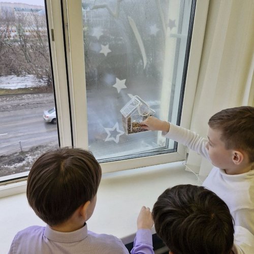 Продолжаем помогать зимующим птицам