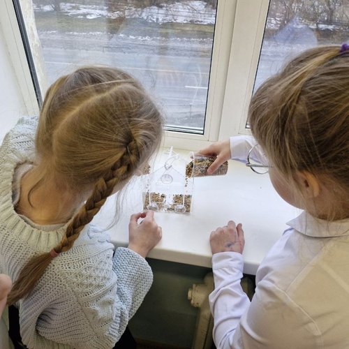 Продолжаем помогать зимующим птицам