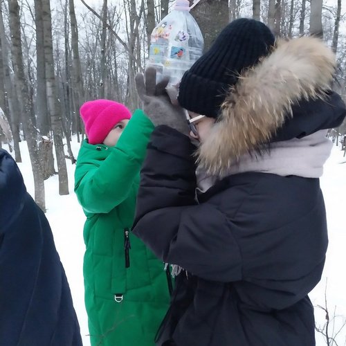 Продолжаем помогать зимующим птицам