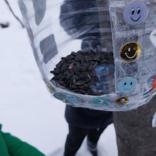 Продолжаем помогать зимующим птицам