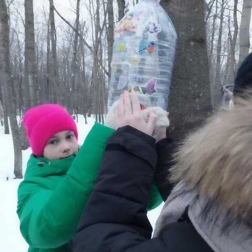 Продолжаем помогать зимующим птицам