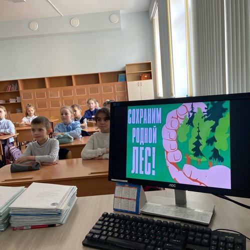 21 марта - международный день леса