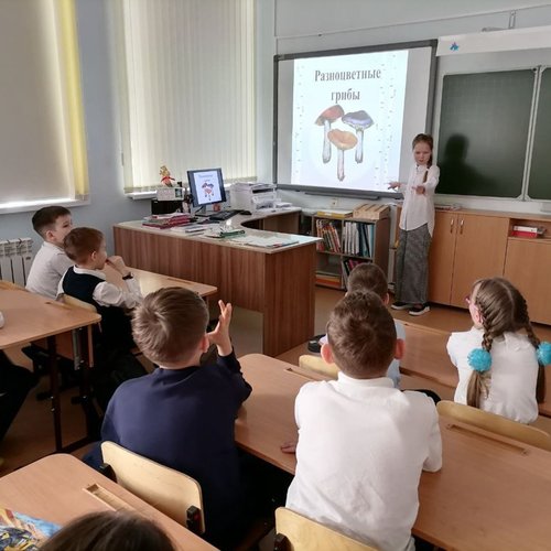 21 марта - международный день леса