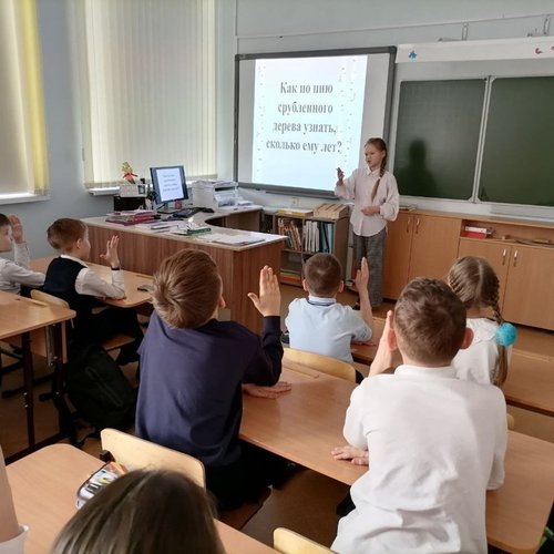 21 марта - международный день леса