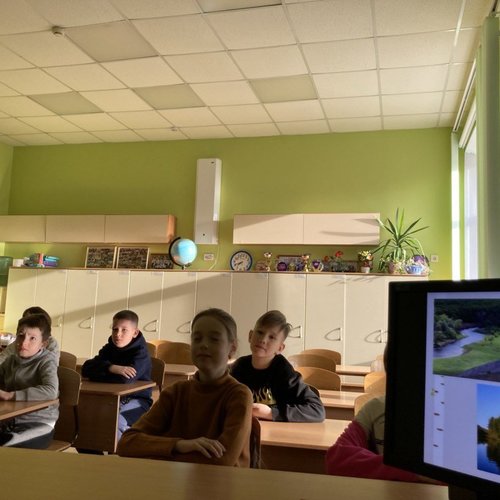21 марта - международный день леса