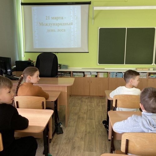 21 марта - международный день леса
