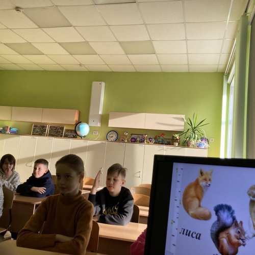 21 марта - международный день леса