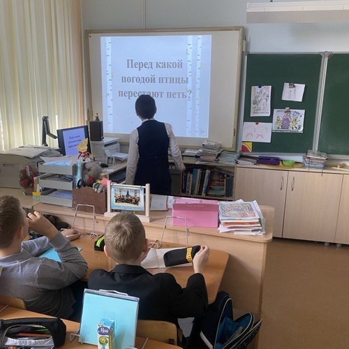 21 марта - международный день леса