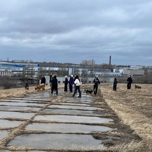 Школьники СОШ 1 г. Чебоксары учатся творить добро помогая приюту для собак "Право на жизнь".