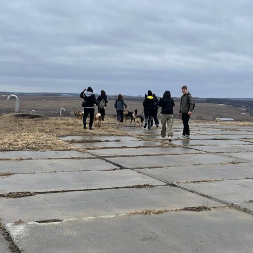 Школьники СОШ 1 г. Чебоксары учатся творить добро помогая приюту для собак "Право на жизнь".