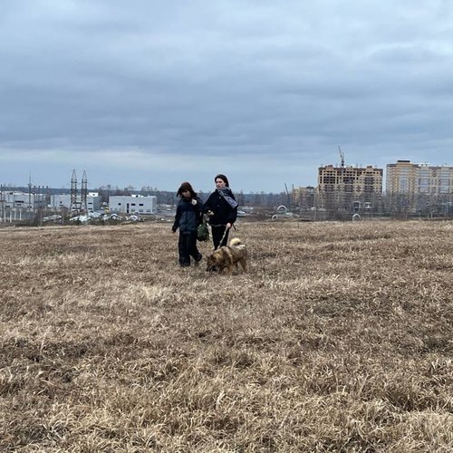 Школьники СОШ 1 г. Чебоксары учатся творить добро помогая приюту для собак "Право на жизнь".