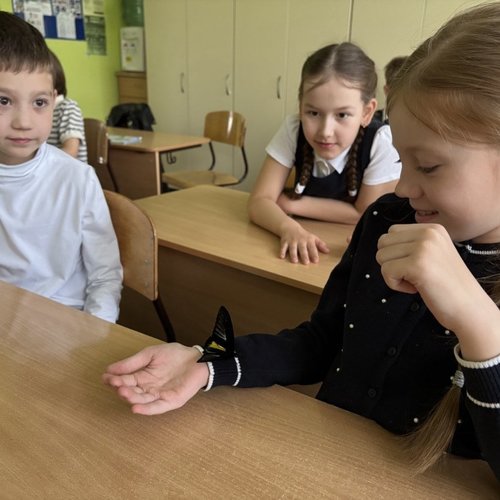Шоу бабочек на Ярославской
