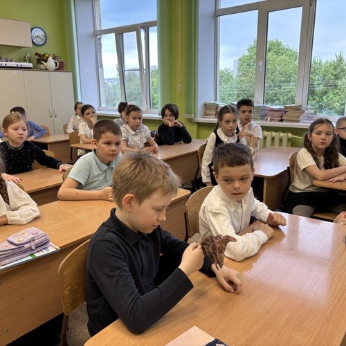 Шоу бабочек на Ярославской