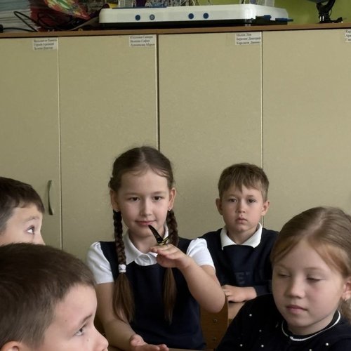 Шоу бабочек на Ярославской
