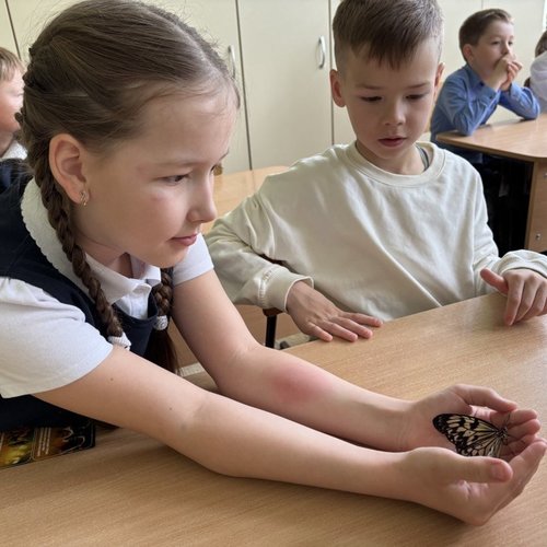 Шоу бабочек на Ярославской