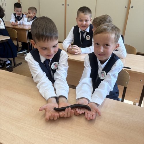 В День Знаний изучаем мир насекомых
