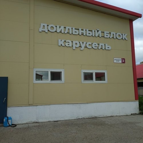 6Г на экскурсии в агропарке «Чебомилк»