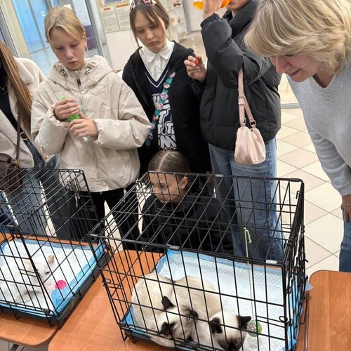 Неделя добра в СОШ 1
