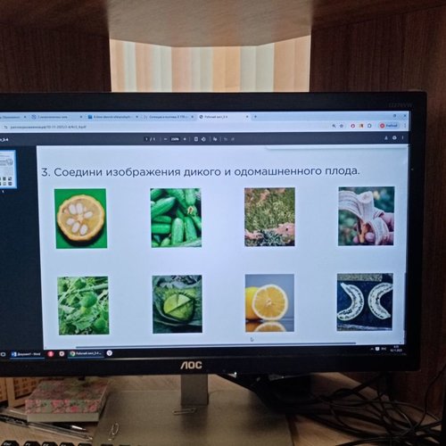 РАЗГОВОРЫ О ВАЖНОМ 10.11.2025 