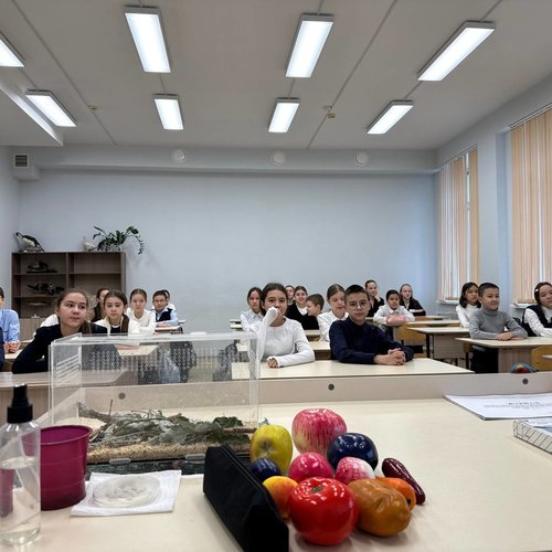 РАЗГОВОРЫ О ВАЖНОМ 10.11.2025 