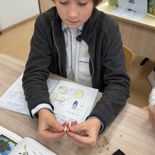 Практика против теории.