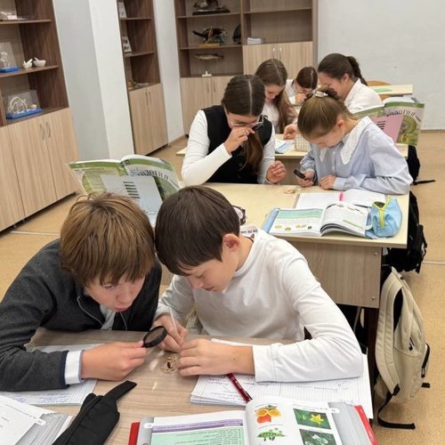 Практика против теории.