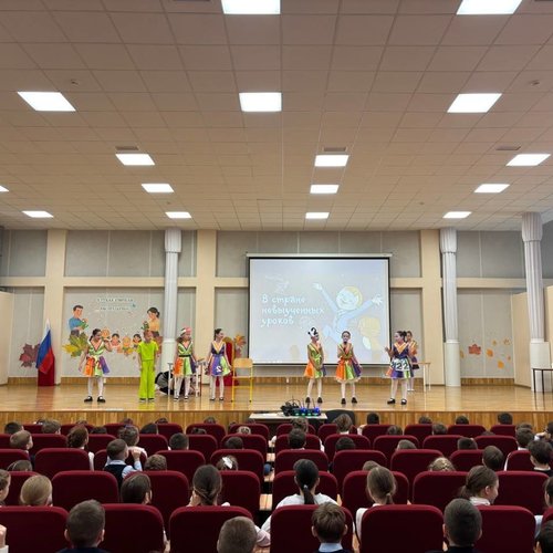 В СТРАНЕ НЕВЫУЧЕННЫХ УРОКОВ