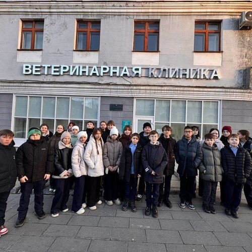 6Д на экскурсии в ветеринарной клинике "Усы. Лапы. Хвост"
