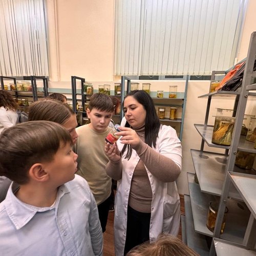 6Д на экскурсии в ветеринарной клинике "Усы. Лапы. Хвост"