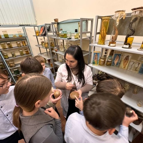 6Д на экскурсии в ветеринарной клинике "Усы. Лапы. Хвост"