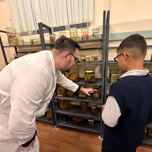 6Д на экскурсии в ветеринарной клинике "Усы. Лапы. Хвост"