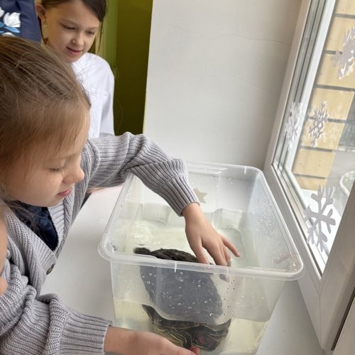 Необычный урок окружающего мира