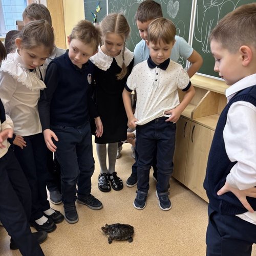 Необычный урок окружающего мира