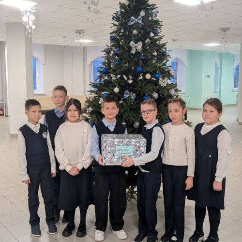 Новогодние посылки для бойцов СВО