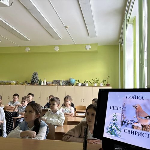 15 ЯНВАРЯ - ДЕНЬ ЗИМУЮЩИХ ПТИЦ  