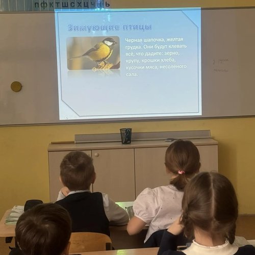 15 ЯНВАРЯ - ДЕНЬ ЗИМУЮЩИХ ПТИЦ  