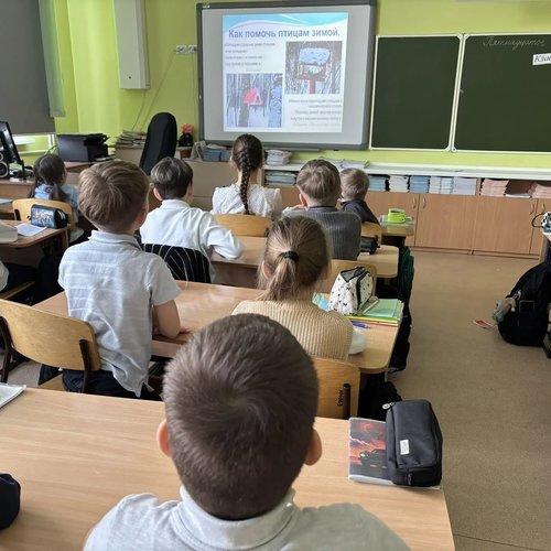 15 ЯНВАРЯ - ДЕНЬ ЗИМУЮЩИХ ПТИЦ  