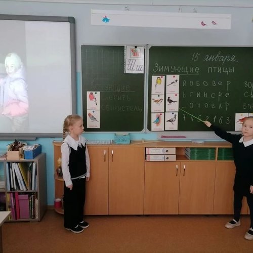 15 ЯНВАРЯ - ДЕНЬ ЗИМУЮЩИХ ПТИЦ  