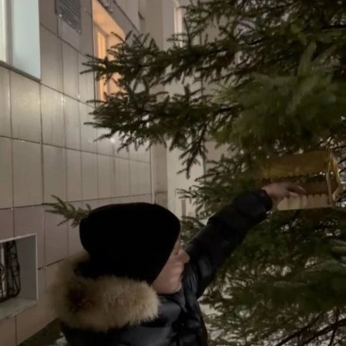 15 ЯНВАРЯ - ДЕНЬ ЗИМУЮЩИХ ПТИЦ  