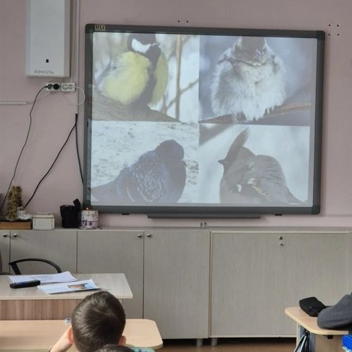 15 ЯНВАРЯ - ДЕНЬ ЗИМУЮЩИХ ПТИЦ  