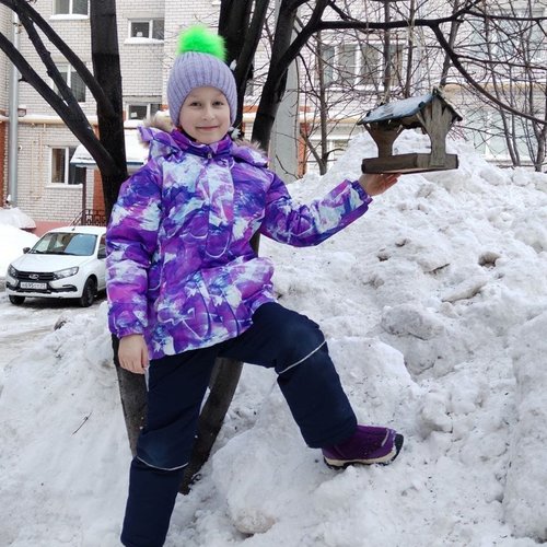 15 ЯНВАРЯ - ДЕНЬ ЗИМУЮЩИХ ПТИЦ  