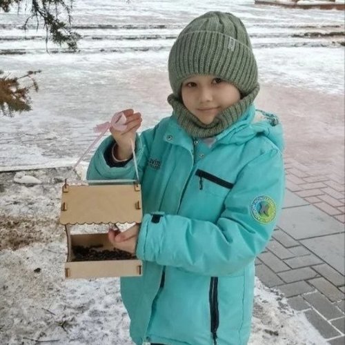 15 ЯНВАРЯ - ДЕНЬ ЗИМУЮЩИХ ПТИЦ  