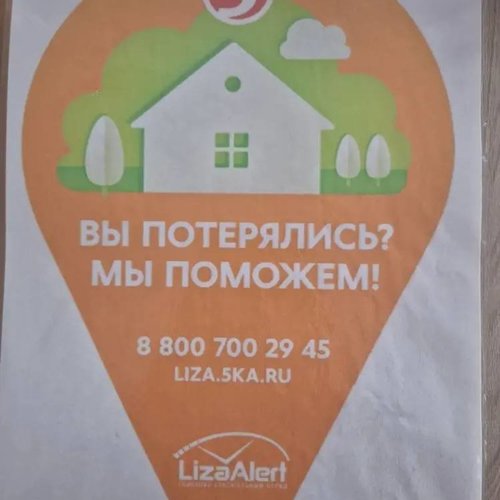 Уроки безопасности от волонтеров поискового отряда «Лиза Алерт»