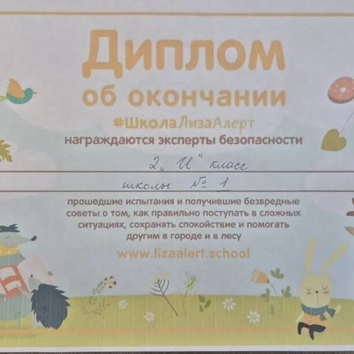 Уроки безопасности от волонтеров поискового отряда «Лиза Алерт»