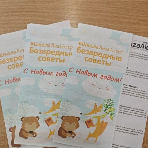 Уроки безопасности от волонтеров поискового отряда «Лиза Алерт»