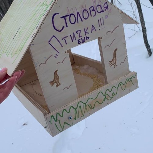 Дружба с природой: кормушки для птиц   