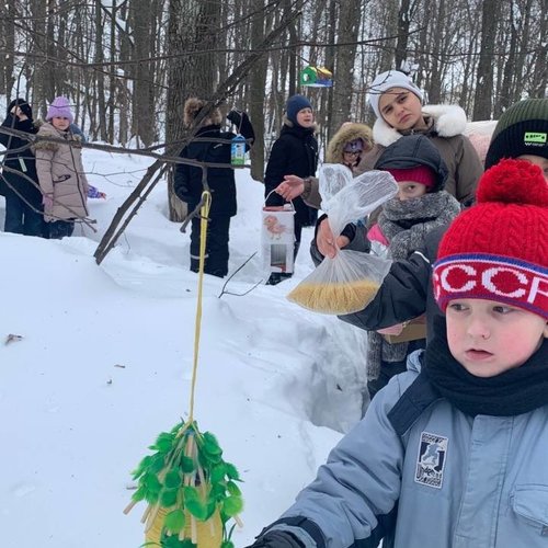 Дружба с природой: кормушки для птиц   