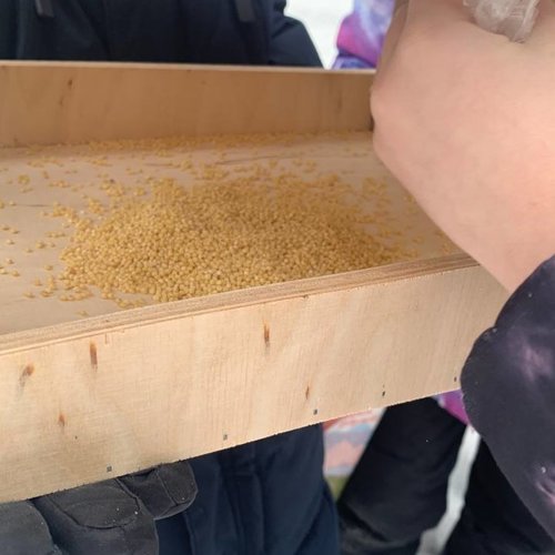 Дружба с природой: кормушки для птиц   