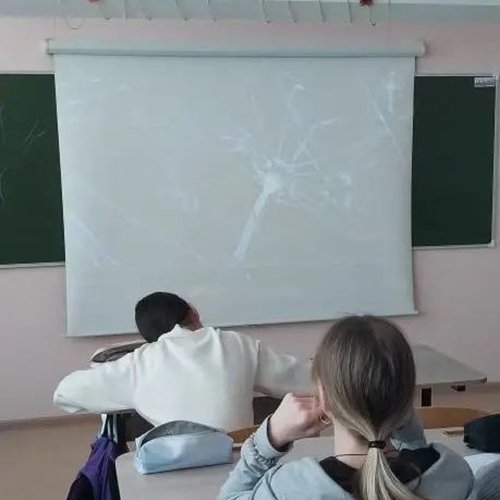 "Россия - мои горизонты" 12.03.2026