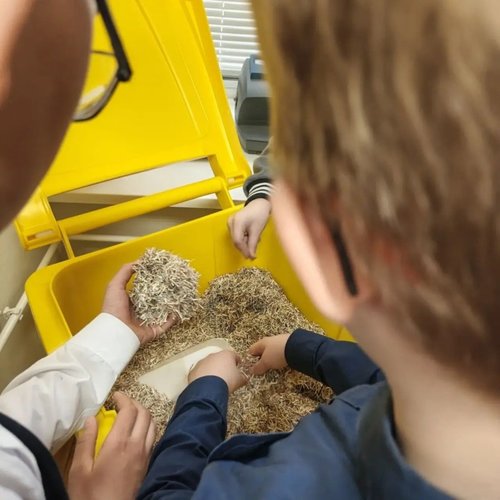 🏛 Путешествие в мир денег: 3В класс в музее Банка России!